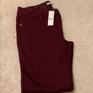 New York & Company pants